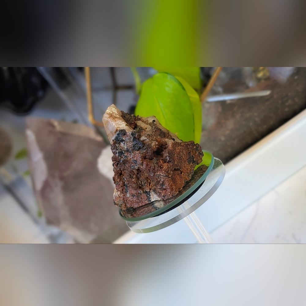 Rare Andradite Garnet & Epidote Cluster (Nelson,B.C. Mine) - Picture 2 of 14